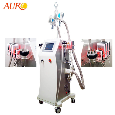 Het Vet die van Cellulitelipo Cryolipolysis-Machine rf 1000W voor Salon bevriezen
