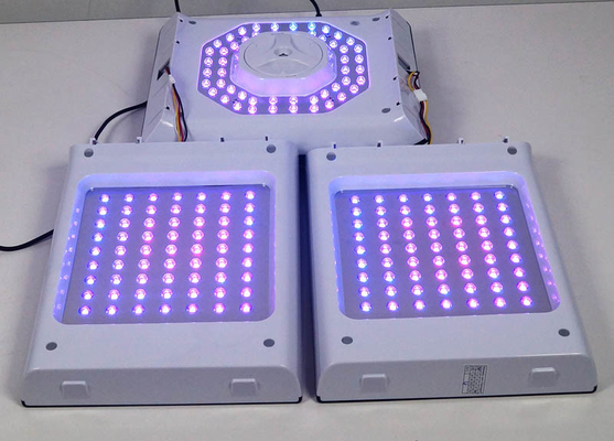 De gezichtsrood lichtpdt van de LEIDENE Lichte Kleur Therapiemachine 24W 6 voor Acne