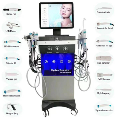 De BIO LEIDENE van de huidzorg Hydro Gezichtsmachine120w 14 Handvatten van Hydradermabrasion
