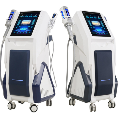 Het binnenlichaam die van de Balrol van de Pijnhulp van de Massagemachine het Verticale Type beeldhouwen