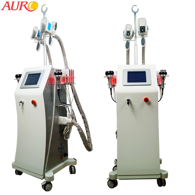 4 in 1 Vette het Bevriezen Cryolipolysis Vermageringsdieetmachine rf niet Chirurgische Lipolaser