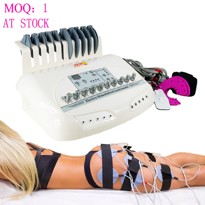 Geschiktheid van de de Stimulatiemachine van de salon de Elektrische EMS Spier voor Cellulite
