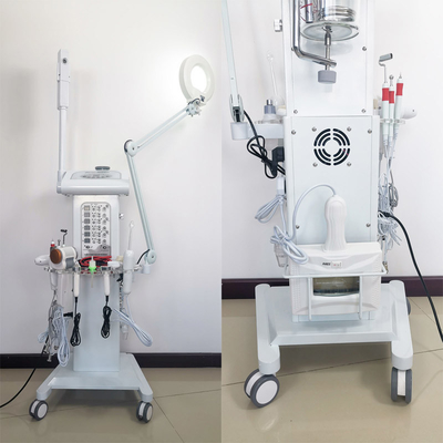 Multifunctionele Gezichtsmachine 14 van de huidgaszuiveraar in 1 Witte Kleur voor Kuuroord