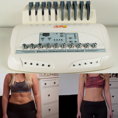 EMS-de Stimulatormachine 35W 110V van de Fysiotherapiespier - 220V voor Lichaamsvermageringsdieet