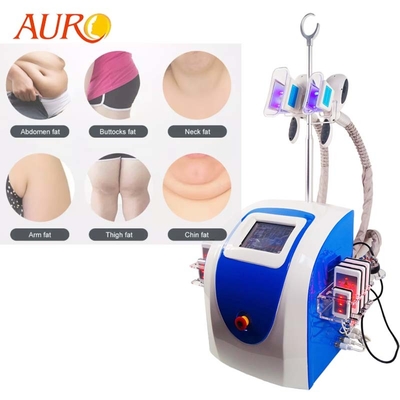 Rf het Vermageringsdieetmachine 4 van 360 Graadcryolipolysis in 1 Vette het Bevriezen van Cryo Machine