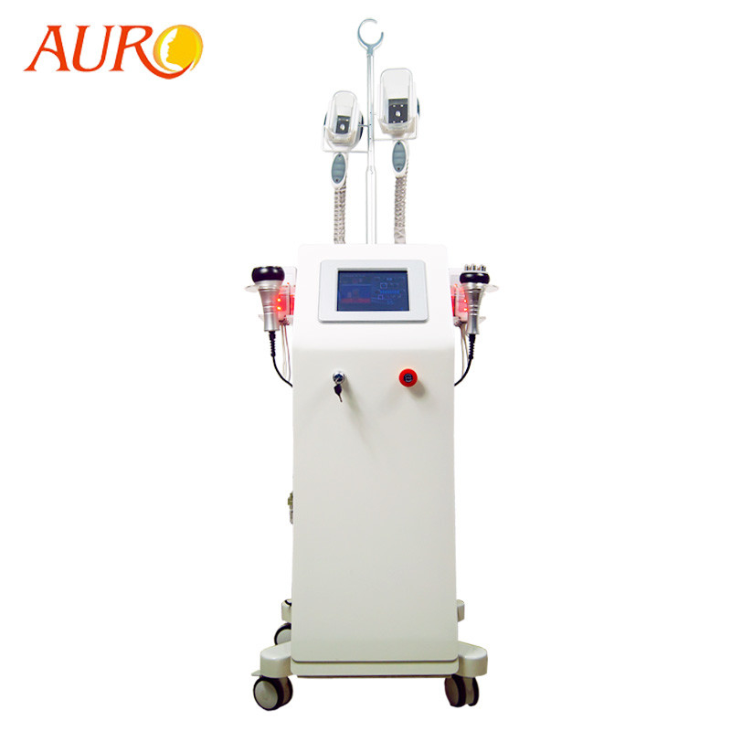 Verticale Cavitatierf Machine 4 in 1 Vette van de Laser Beste Lipo van Verminderings Koude Cryo de Cavitatiemachine