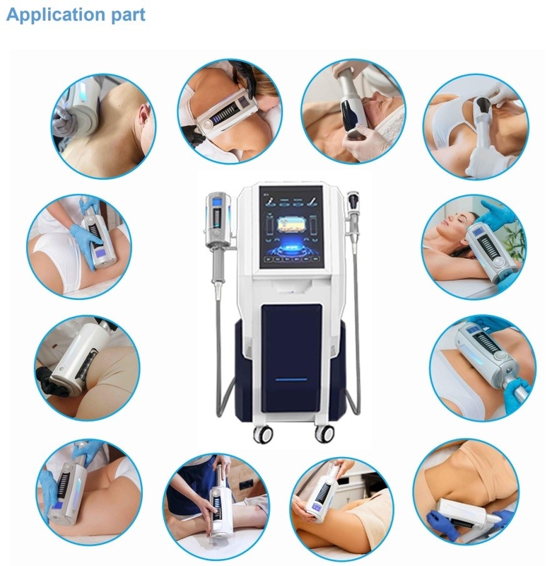 Het binnenlichaam die van de Balrol van de Pijnhulp van de Massagemachine het Verticale Type beeldhouwen